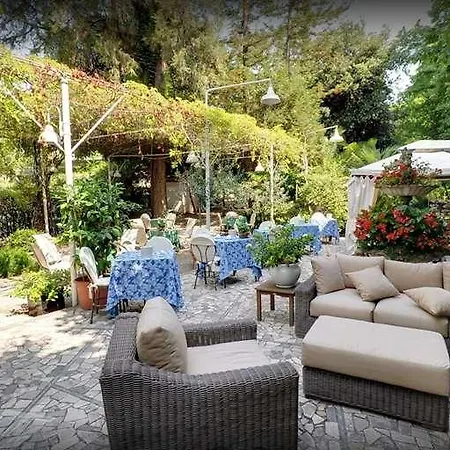 מלון Mediterraneo 3*